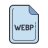 icons8-webp-100 (1)